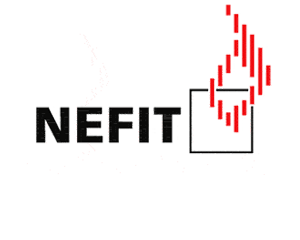 logo-nefit-trans1-300x240